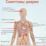 Диарея при беременности второй триместр