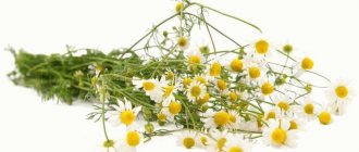 How to use chamomile for gastritis for treatment?