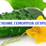 Treatment of hemorrhoids with cucumber