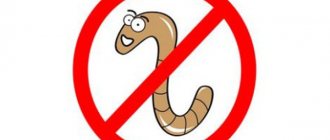 No worms