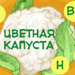 Полезные свойства цветной капусты