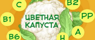 Полезные свойства цветной капусты