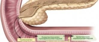 Понос при панкреатите (диарея): лечение, как остановить, фитотерапия