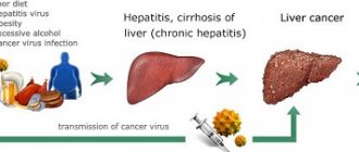 Development of the disease in humans