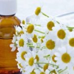 Chamomile for hemorrhoids - how to use the plant to combat inflammation of the hemorrhoidal plexuses