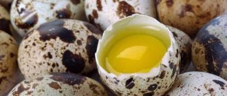 Яйца при гастрите: куриные и перепелиные, польза и вред, рецепты, советы
